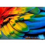 Televisão Philips 43HFL6214U 43" 4K Ultra HD SMART TV