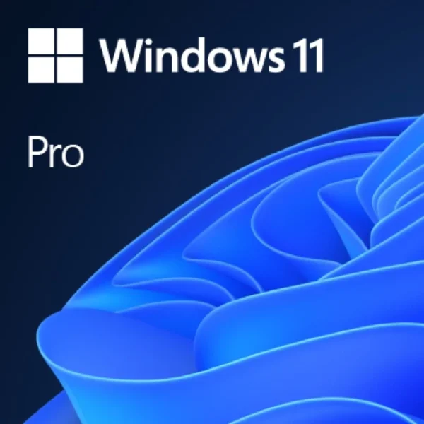 Software Microsoft Windows 11 Pro 64-bit ENG