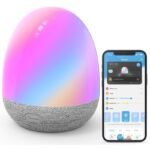 Candeeiro de mesa Govee H6057 RGBIC Night Light RGB