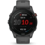 Smartwatch 46mm Garmin Forerunner 255 Cinzento Ardósia