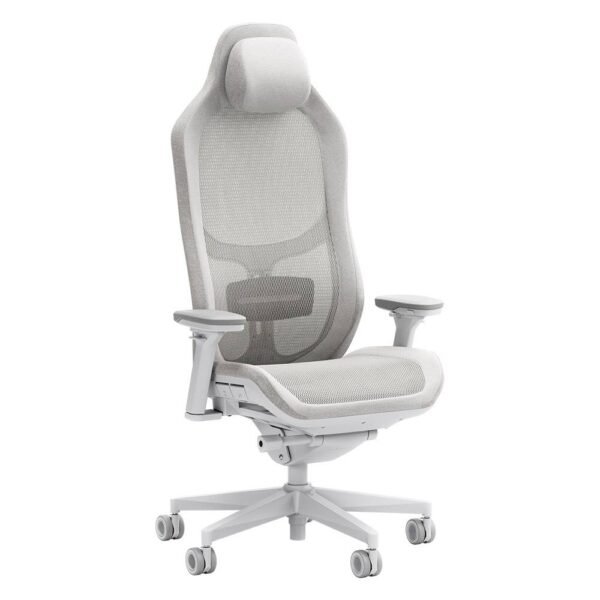 Cadeira de Escritório Ergonómica Fractal Design Refine Mesh Light