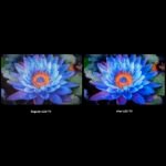 Televisão Smart TV Xiaomi S (2025) 55" 139,7cm Mini-LED 4K UHD 144 Hz Google TV - Image 4